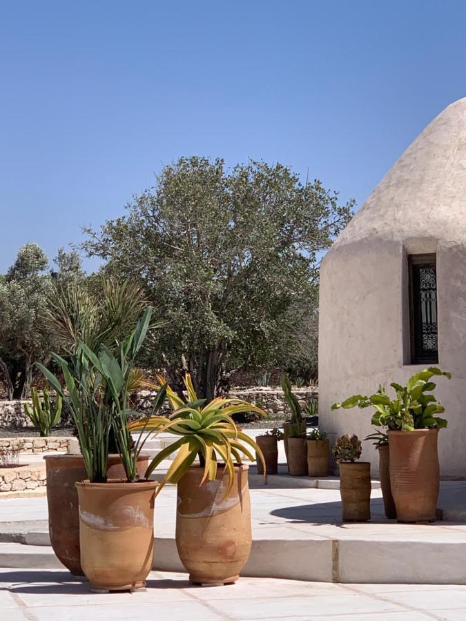 Les Jardins De Villa Maroc As-Suwajra Zewnętrze zdjęcie