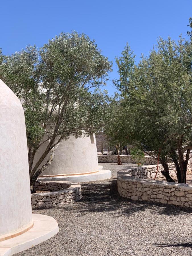 Les Jardins De Villa Maroc As-Suwajra Zewnętrze zdjęcie