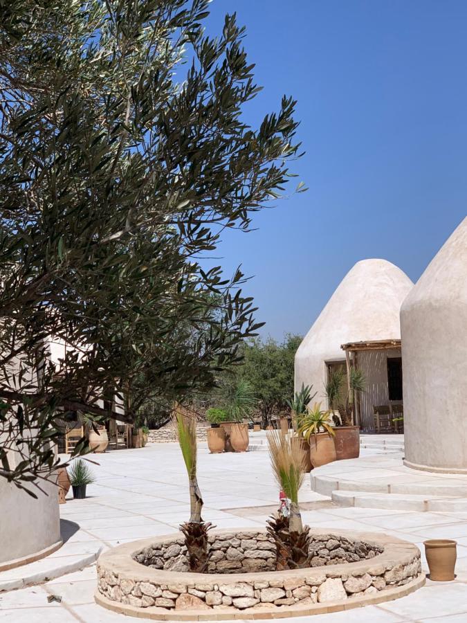 Les Jardins De Villa Maroc As-Suwajra Zewnętrze zdjęcie